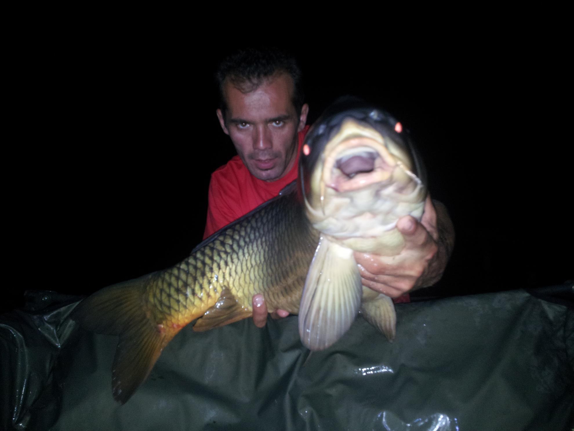 Tancabesti 31 august - 7 septembrie 2014 - 20140902210756.jpg